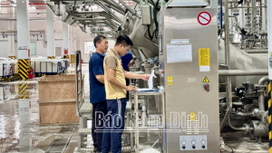 Quyết liệt triển khai xây dựng Khu kinh tế Ninh Cơ