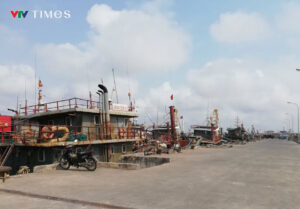 Ninh Bình hướng ra biển: xây cảng nước sâu, thúc đẩy kinh tế ven biển